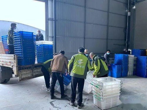 喜訊 全市目前規(guī)模最大 貨品最齊全 交通最便捷的農(nóng)特產(chǎn)品批發(fā)市場開門營業(yè)